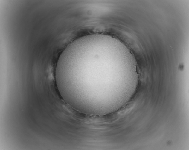 X0000102410962200808152002