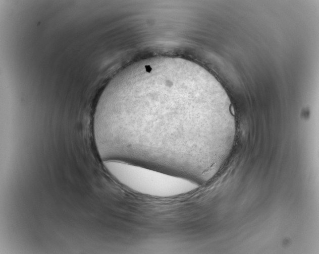 X0000102410964200808152002