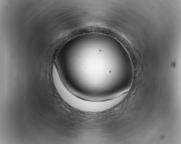 X0000102410965200808152002