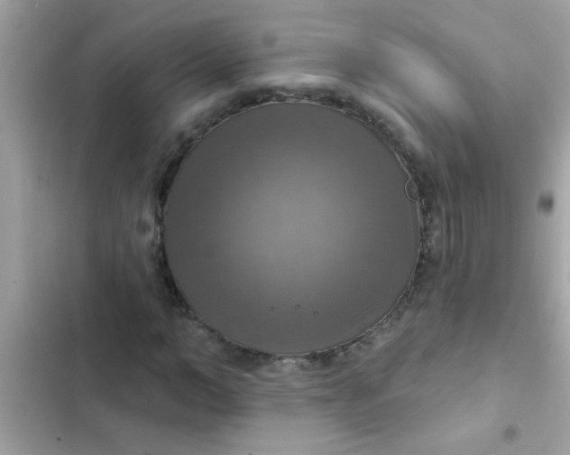 X0000102410966200808152002