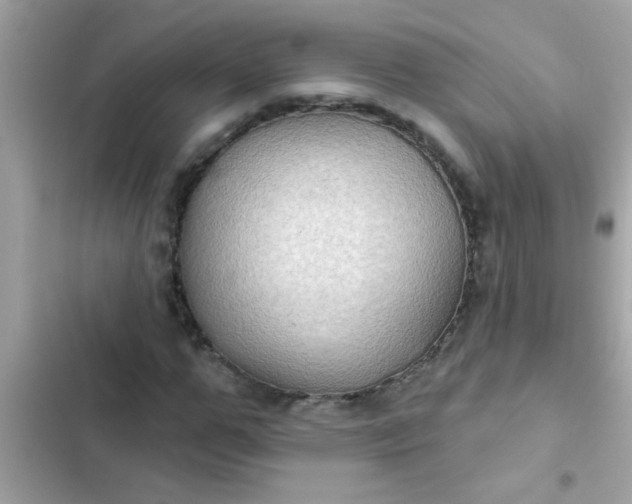 X0000102410967200808152002