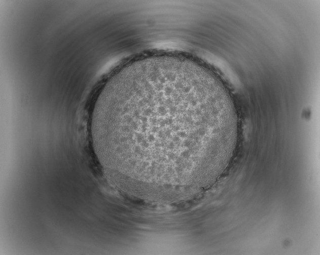 X0000102410968200808152002