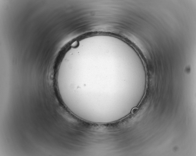 X0000102410971200808152002