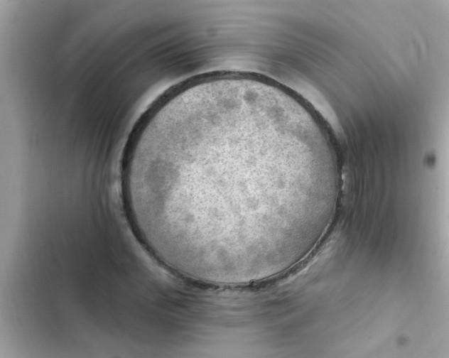 X0000102410972200808152002