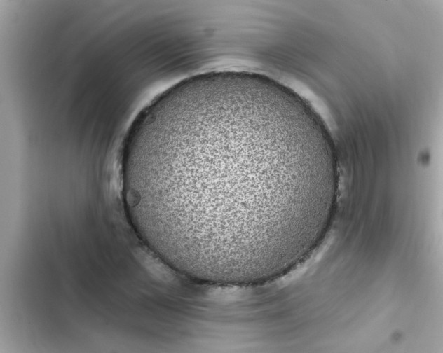 X0000102410973200808152002