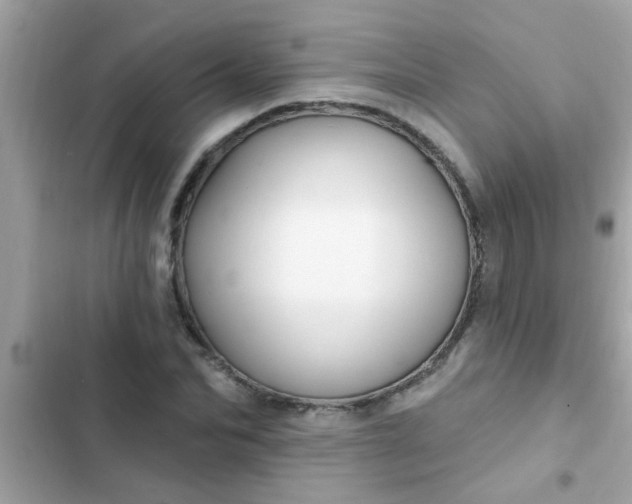 X0000102410974200808152002