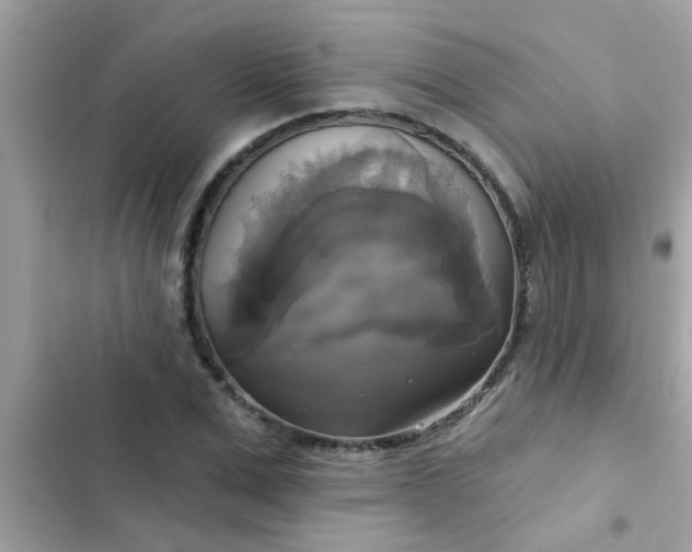 X0000102410975200808152002