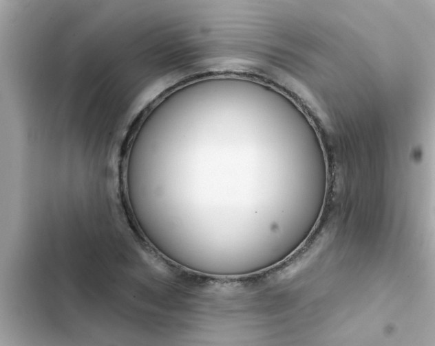 X0000102410978200808152002