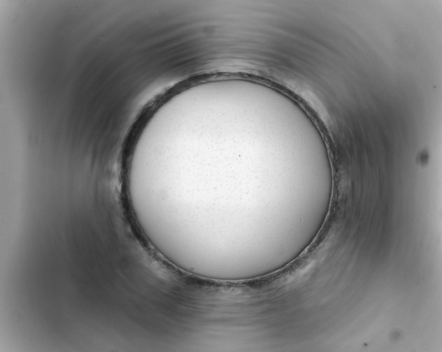 X0000102410979200808152001