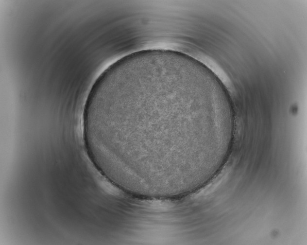 X0000102410980200808152001