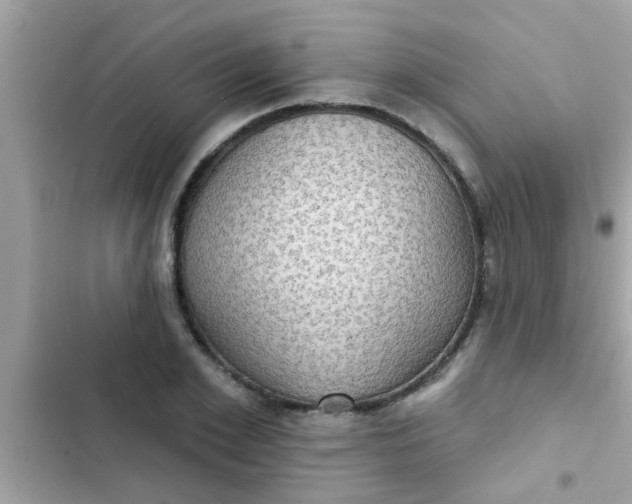 X0000102410981200808152001