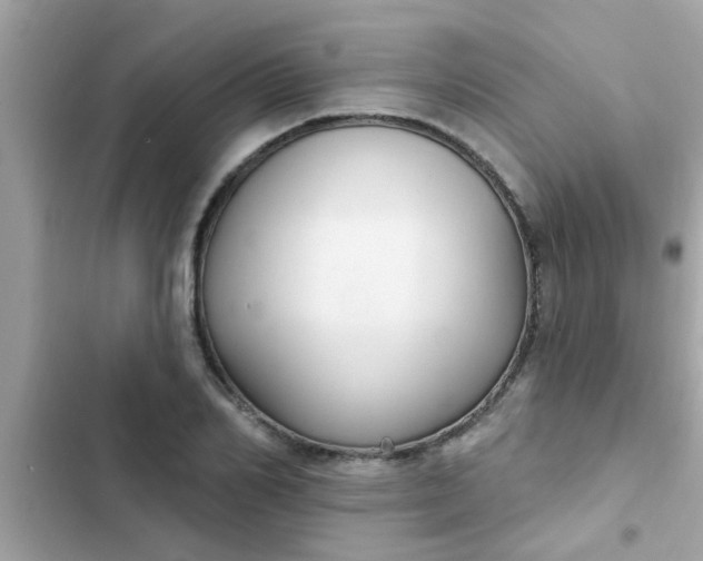 X0000102410982200808152001