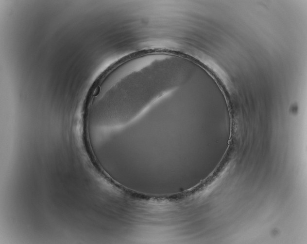 X0000102410983200808152001