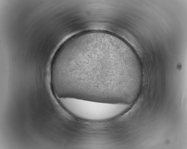 X0000102410984200808152001