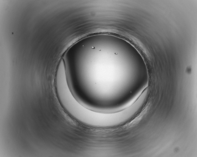 X0000102410985200808152001