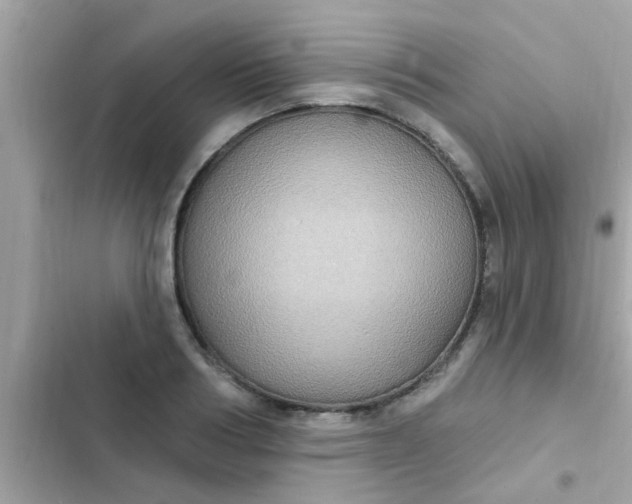 X0000102410986200808152001