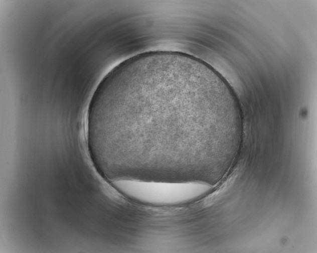 X0000102410988200808152001