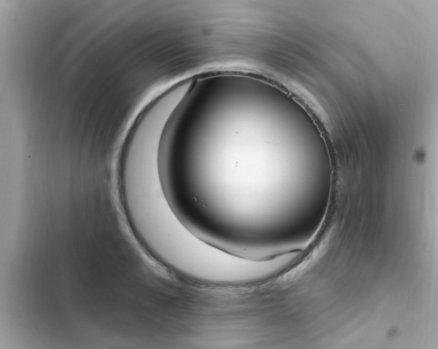 X0000102410989200808152001