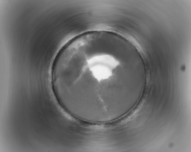 X0000102410990200808152001