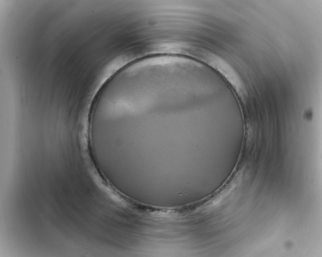 X0000102410994200808152001