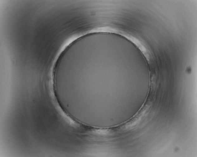 X0000102410998200808152001