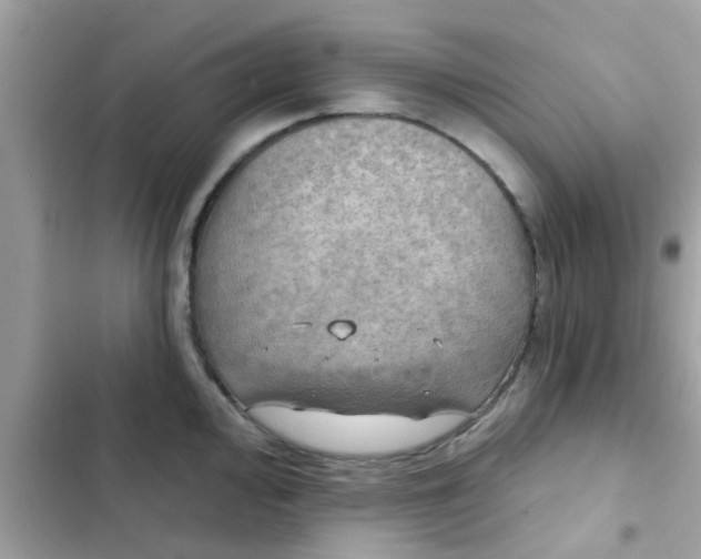 X0000102411000200808152001