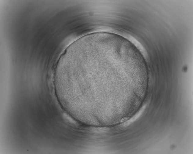 X0000102411001200808152001