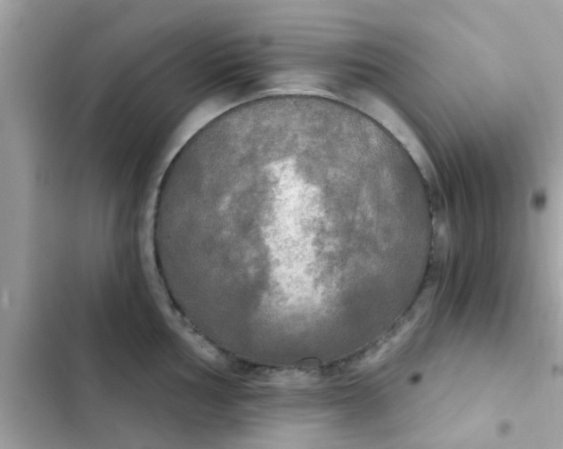 X0000102411002200808152001