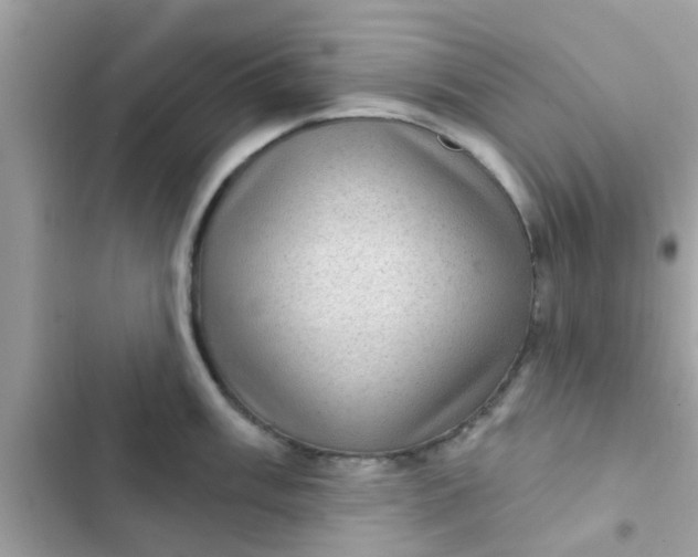 X0000102411003200808152001