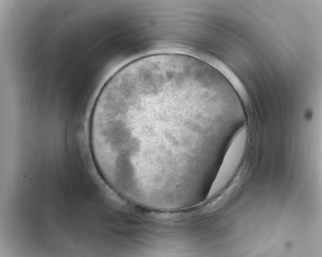 X0000102411004200808152001