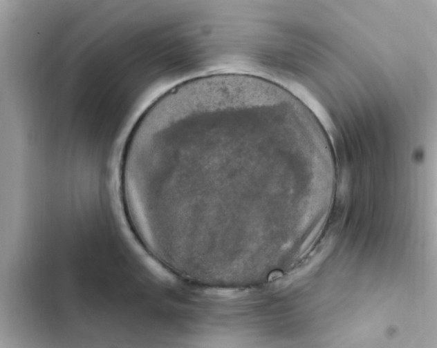 X0000102411005200808152001