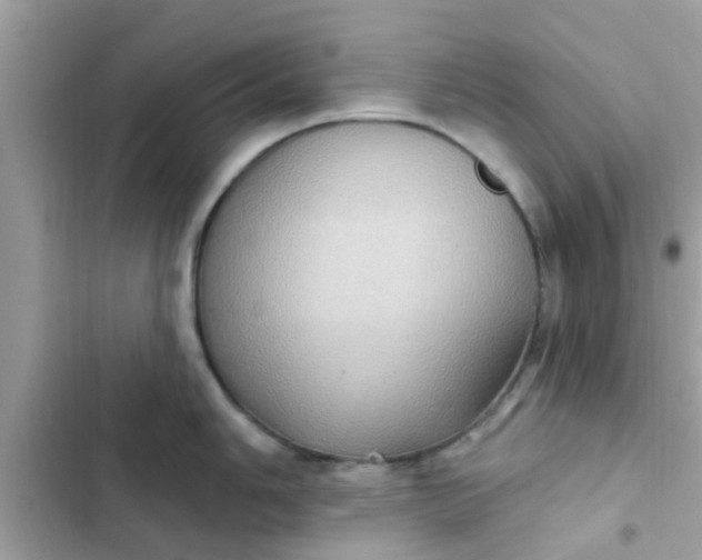 X0000102411006200808152001