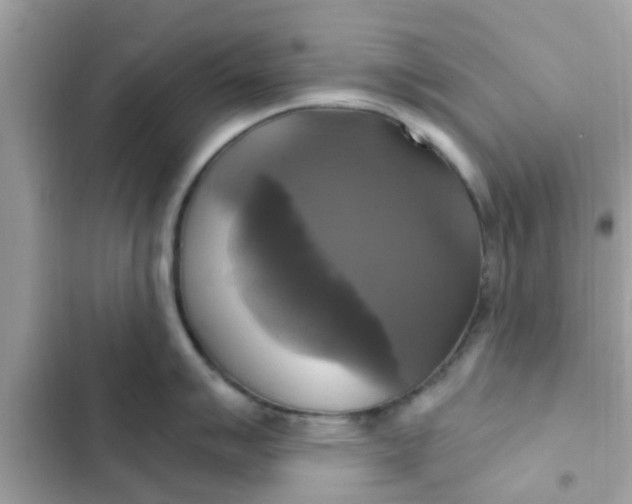 X0000102411007200808152001