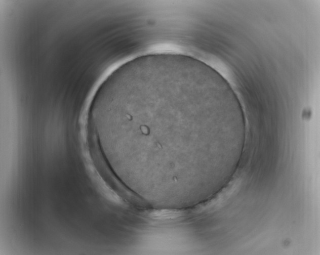 X0000102411008200808152001