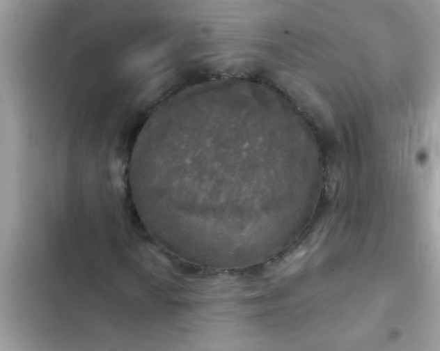 X0000102411010200808152000