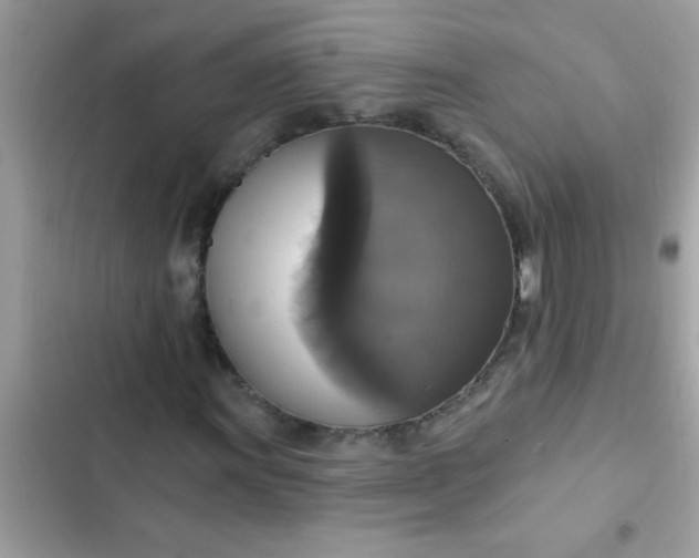 X0000102411011200808152000