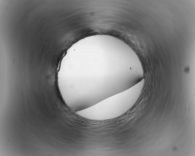 X0000102411012200808152000