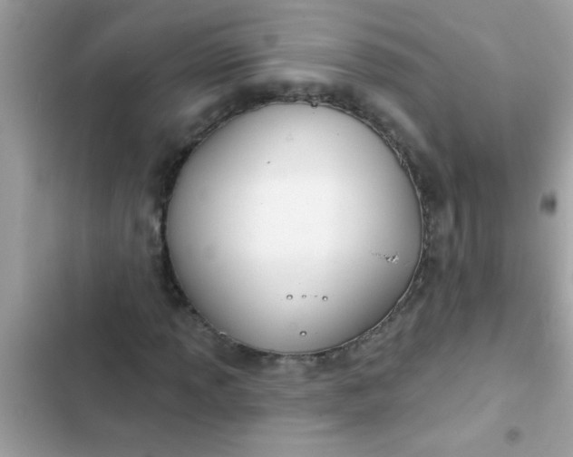 X0000102411013200808152000