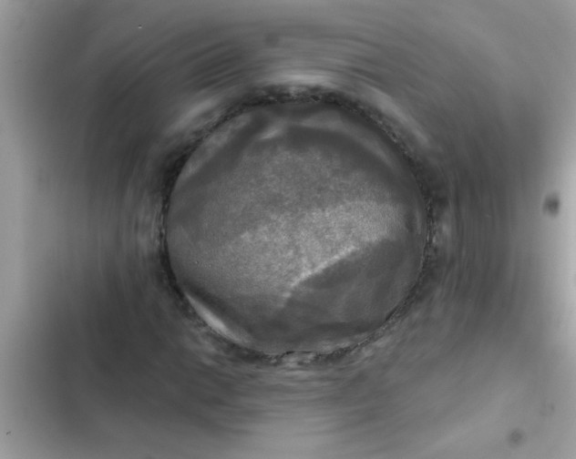 X0000102411014200808152000