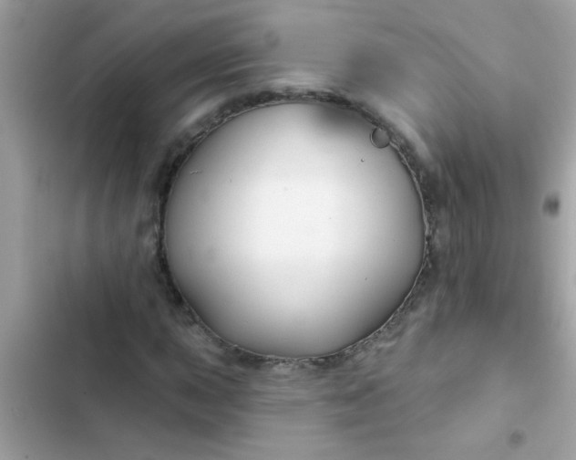 X0000102411015200808152000