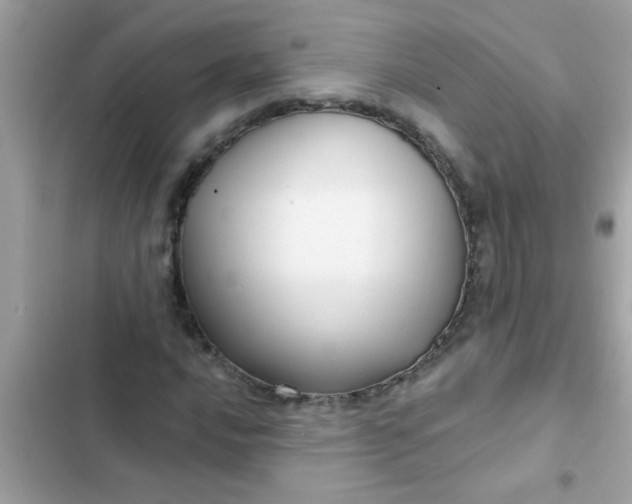 X0000102411016200808152000