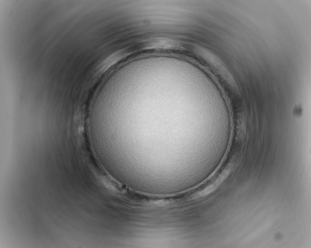 X0000102411017200808152001