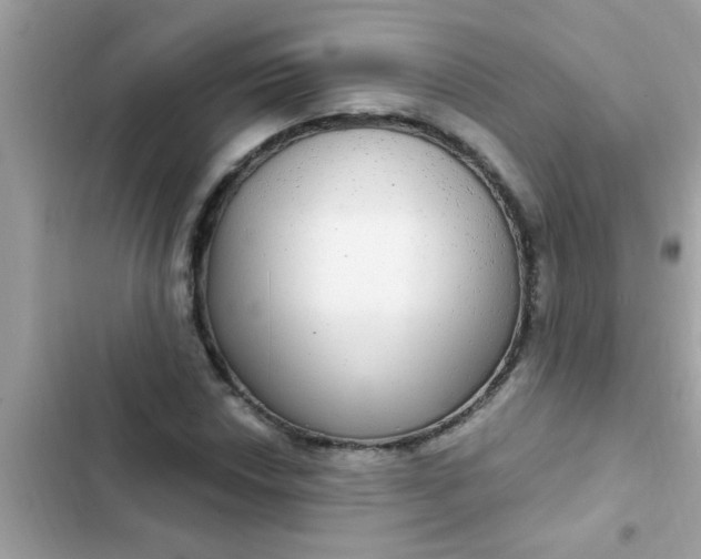 X0000102411018200808152001