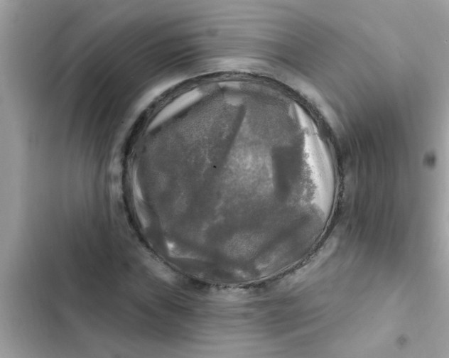 X0000102411019200808152001