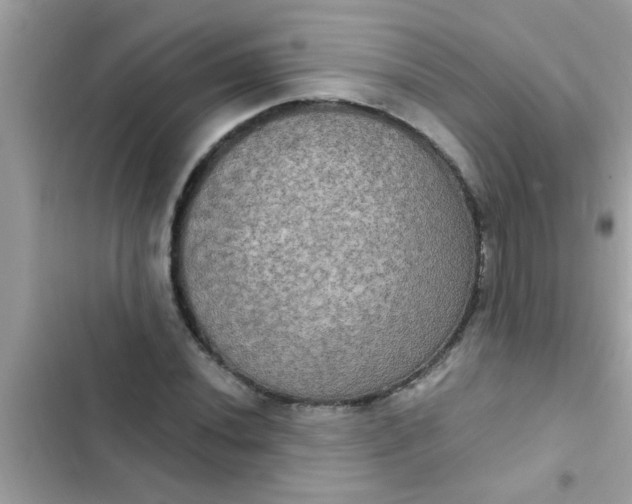 X0000102411020200808152001