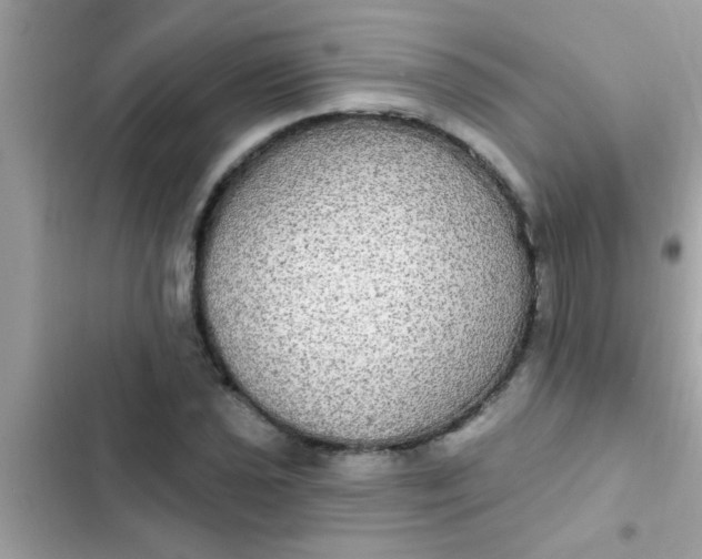 X0000102411021200808152001