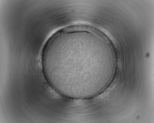 X0000102411022200808152001