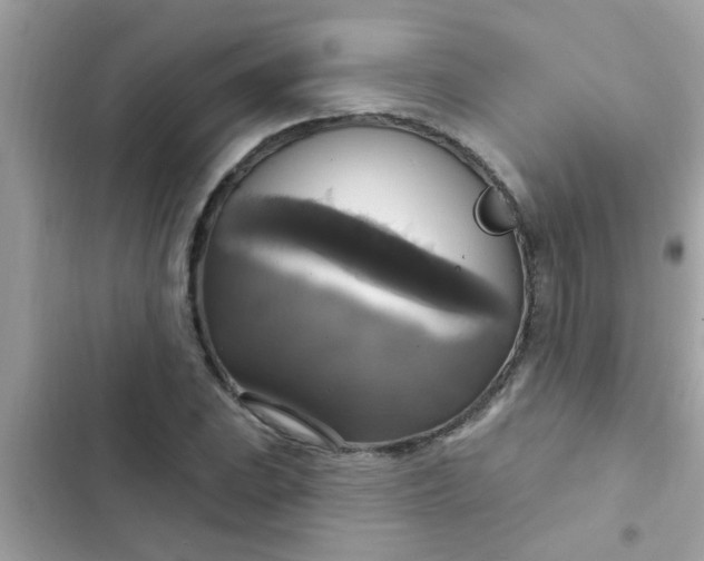 X0000102411023200808152001