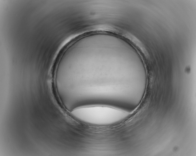 X0000102411024200808152001