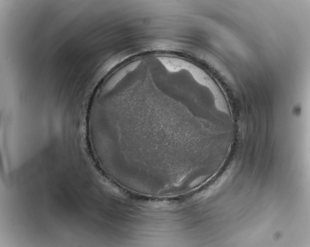 X0000102411025200808152001